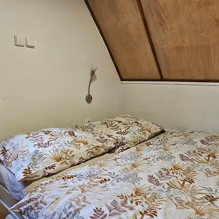 Mezicky Jiřetín pod Jedlovou