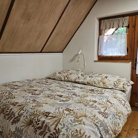 Mezicky * Jiřetín pod Jedlovou