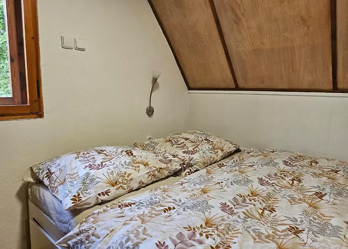 Mezicky Jiřetín pod Jedlovou